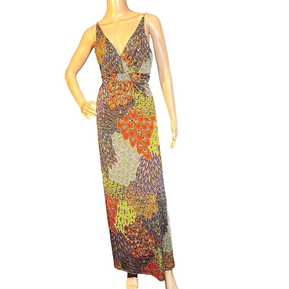 Neesha Peacock‎ Feather Paisley Maxi Dress Womens Large Multicolor  Boho